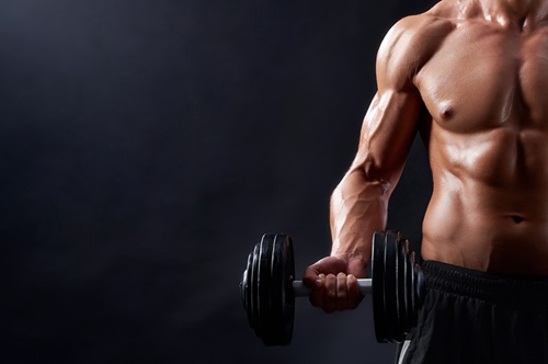 Muscle Building